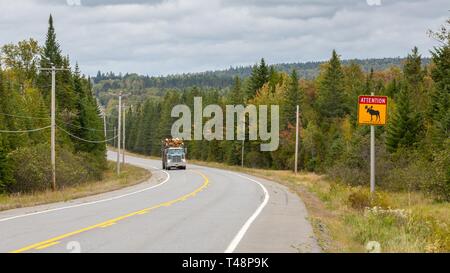 Straße mit Lkw und Schild, Warnzeichen, Elche, Elche Elche überqueren, Cross Road, Maine, USA Stockfoto