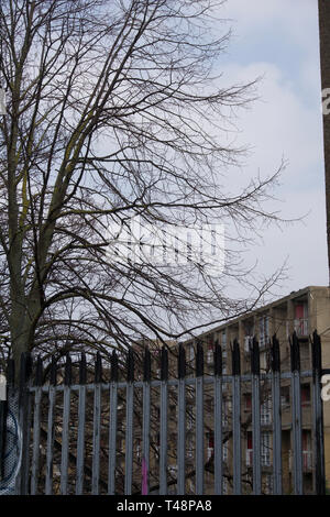 Verlassene Wohnungen im Park Hill, Sheffield Stockfoto