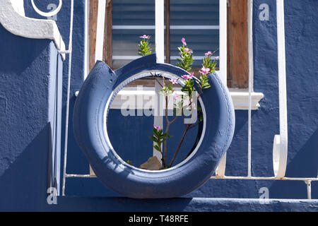 Häuser in der Malay Quarter, Bo Kaap. Historischen Bereich von bunt bemalten Häuser im Zentrum der Stadt blonging vor allem auf die muslimischen Bevölkerung. Stockfoto