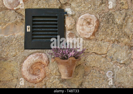 VALLDEMOSSA, MALLORCA, SPANIEN - 21. MÄRZ 2019: Ammonit Muscheln und Wand Topf hängen als Dekorationen an der Wand in der Altstadt am 21. März 2019 in Vallde Stockfoto