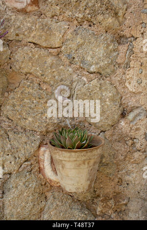 VALLDEMOSSA, MALLORCA, SPANIEN - 21. MÄRZ 2019: Ammonit Muscheln und Wand Topf hängen als Dekorationen an der Wand in der Altstadt am 21. März 2019 in Vallde Stockfoto