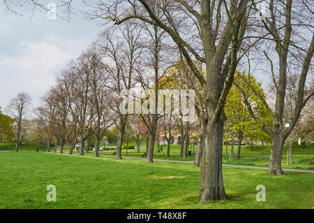 MARKFIELD Park, South Tottenham, London UK, im Frühling Stockfoto