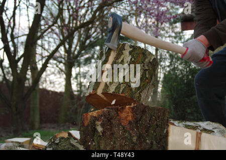 Holzhacken mit Axt in Händen. Brennholz für den Winter vorbereiten. Dynamische Ansicht. Stockfoto