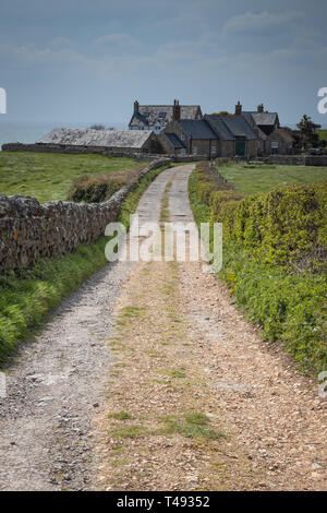 Steinmauer, die zu Land Stone Cottages in der englischen Landschaft Stockfoto