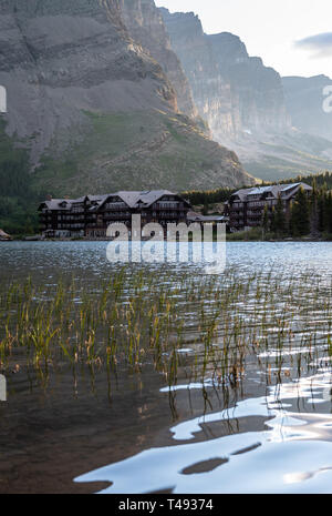 Schilf Stand auf der Bearbeiten von swiftcurrent Lake in der Nähe von Many Glacier Hotel Stockfoto