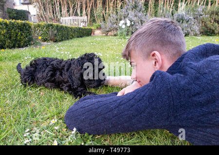 Ein teenaged Jungen spielt mit seinem Hund im Garten Stockfoto