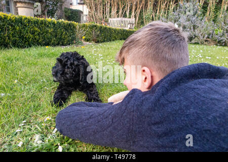 Ein teenaged Jungen spielt mit seinem Hund im Garten Stockfoto