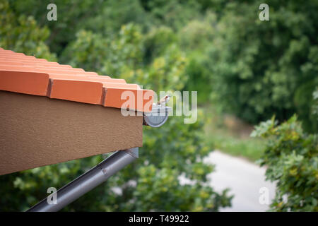 Regenrinne auf dem Dach Stockfoto
