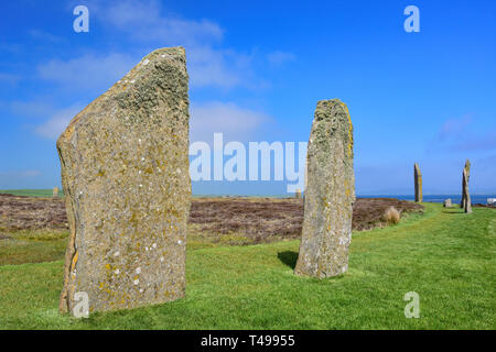 Neolithische Menhire, Ring von Brodgar, in der Nähe von Stromness, Festland, Orkney Inseln, Nördliche Inseln, Schottland, Vereinigtes Königreich