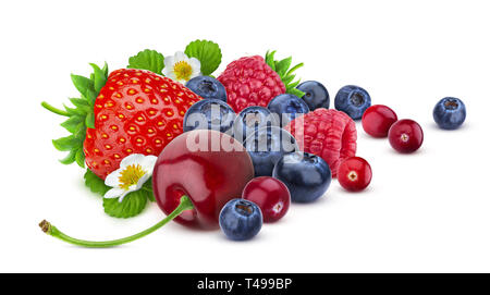 Stapel der verschiedenen wild wachsenden Beeren auf weißem Hintergrund mit Freistellungspfad isoliert. Verschiedene Arten von Beerenfrüchten, Sammlung Stockfoto