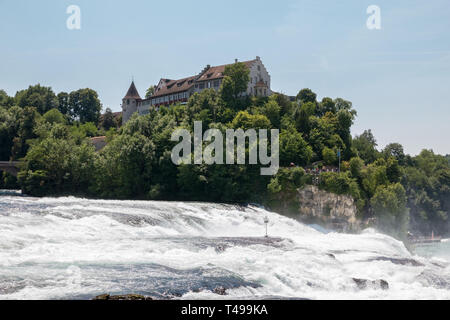 Der Rheinfall, der größte Wasserfall Europas in Schaffhausen, Schweiz. Sommer Landschaft, Sonnenschein Wetter, blauer Himmel und sonnigen Tag Stockfoto