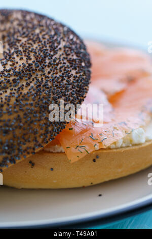 Mohn Bagel mit Frischkäse und Lachs auf einem weißen Schild mit schwarzem Rand serviert. Blauer Tisch, hohe Auflösung Stockfoto
