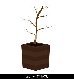 Phasen des Wachstums eines Baumes von einem Samen. Lebenszyklus eines Baumes vom Samen zum großen Baum. Die Bewässerung der Pflanzen. EPS 10. Stock Vektor