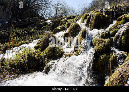 Kleiner Wasserfall im Nationalpark Plitvicer Seen, Nationalpark in Kroatien während der frühen Frühling. Frisches sauberes Wasser. Stockfoto
