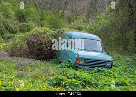 Verlassenes Auto in den Wald. Stockfoto