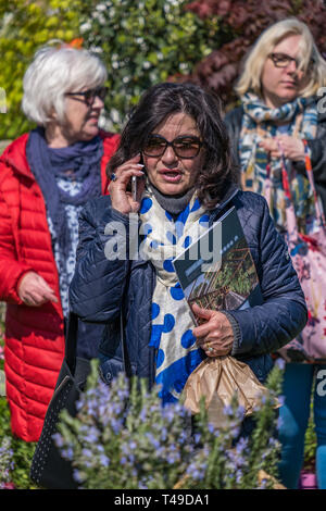 Cardiff, Wales, UK. 04/12/2019 RHS Flower Show Cardiff Stockfoto