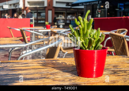 Eine Topfpflanze in einem Blumentopf bildet ein Kernstück in einem Cafe Tisch draußen auf der Straße. Stockfoto