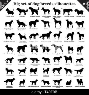 Große 49 verschiedene Hunde, Hunde, arbeiten, Hirte, Terrier, Begleiter, Jagd. Vektor einrichten der verschiedenen Hunde stehen im Profil. Isolierte Hunde Stock Vektor
