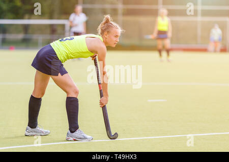 Young Professional hockey player mit Stick auf dem Feld Stockfoto