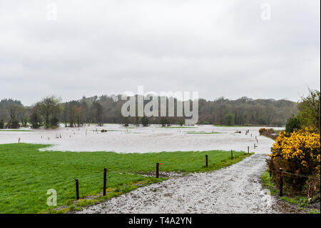 Caheragh, West Cork, Irland. April 2019. Ein Großteil Irlands befindet sich derzeit inmitten einer von Met Éireann ausgestellten Status Orange Regenwarnung. Viele Felder in West Cork sind überflutet, nachdem zahlreiche Flüsse ihre Ufer wegen des sintflutartigen Regens platzen. Quelle: AG News/Alamy Live News. Stockfoto