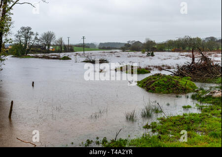 Caheragh, West Cork, Irland. April 2019. Ein Großteil Irlands befindet sich derzeit inmitten einer von Met Éireann ausgestellten Status Orange Regenwarnung. Viele Felder in West Cork sind überflutet, nachdem zahlreiche Flüsse ihre Ufer wegen des sintflutartigen Regens platzen. Quelle: AG News/Alamy Live News. Stockfoto