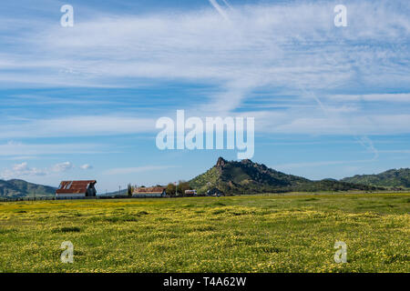 Bear Valley Road, Colusa County, Kalifornien Stockfoto