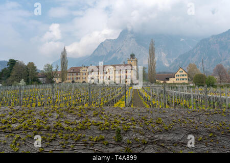 Maienfeld GR/Schweiz - April 13, 2019: historische Schloss Salenegg im idyllischen Schweizer Dorf Maienfeld mit knospenden Weinreben und Stein Wal Stockfoto