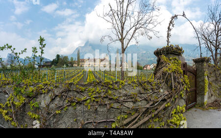 Maienfeld GR/Schweiz - April 13, 2019: historische Schloss Salenegg im idyllischen Schweizer Dorf Maienfeld mit knospenden Weinreben und Stein Wal Stockfoto