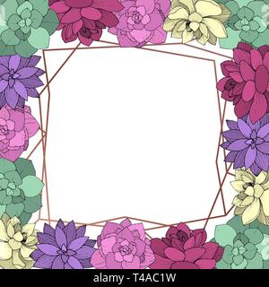 Vektor Sukkulenten floral botanischen Blume. Graviert Tinte Kunst auf weißem Hintergrund. Rahmenlinie ornament Quadrat. Stock Vektor
