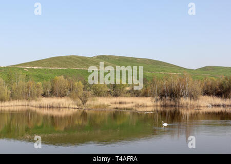 Biotopsee See mit Schwan und Arkenberge Hill in Berlin im Frühjahr Stockfoto