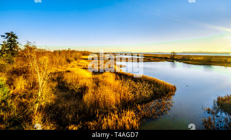 Winter Sonnenuntergang über der Lagune in der Reifel Vogelschutzgebiet in der Alaksen National Wildlife Bereich auf westham Island in der Nähe von Ladner, British Columbia, Kanada Stockfoto