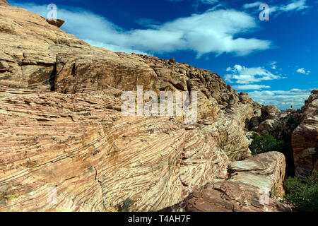 Wanderer auf den Felsen der Calico Hills in der Red Rock Canyon National Conservation Area, Nevada, USA Stockfoto