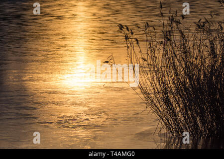 Sonnenuntergang am See mit schönen Wasser Reflexionen Stockfoto
