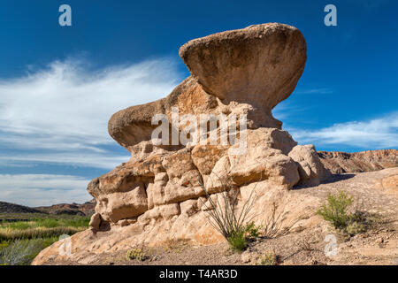 Rock Formation Hoodoos Trail, River Road, Big Bend Ranch State Park, Texas, USA Stockfoto