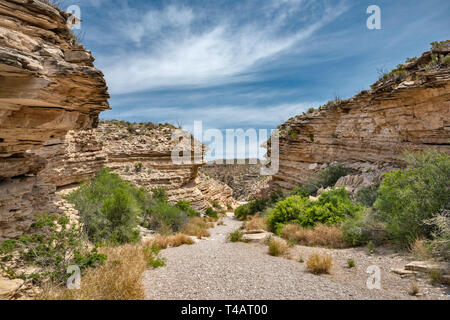 Kalkstein und Schiefer Schichten von Boquillas Canyon Formation im Ernst, Big Bend National Park, Texas, USA Stockfoto