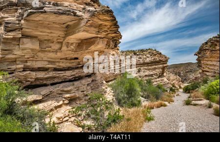 Kalkstein und Schiefer Schichten von Boquillas Canyon Formation im Ernst, Big Bend National Park, Texas, USA Stockfoto