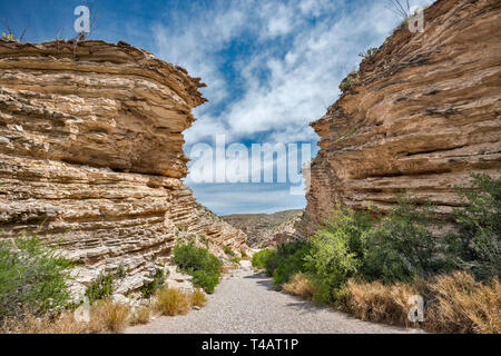 Kalkstein und Schiefer Schichten von Boquillas Canyon Formation im Ernst, Big Bend National Park, Texas, USA Stockfoto