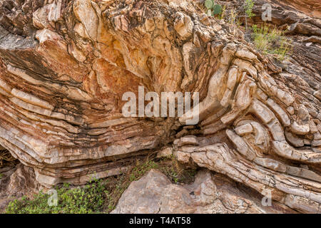 Kalkstein und Schiefer Schichten von boquillas Bildung bei Ernst Tinaja in Ernst Canyon, Big Bend National Park, Texas, USA Stockfoto