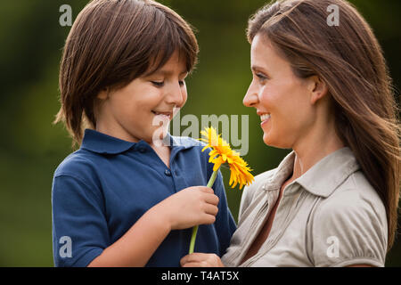 Junge seine Mutter eine Sonnenblume. Stockfoto