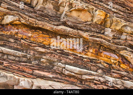 Kalkstein und Schiefer Schichten von boquillas Bildung bei Ernst Tinaja in Ernst Canyon, Big Bend National Park, Texas, USA Stockfoto