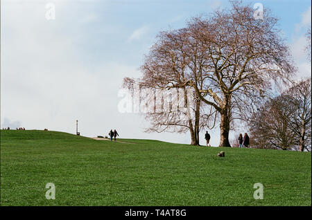 Primrose Hill im Frühling, North London, Großbritannien Stockfoto