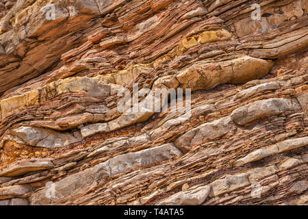 Kalkstein und Schiefer Schichten von boquillas Bildung bei Ernst Tinaja in Ernst Canyon, Big Bend National Park, Texas, USA Stockfoto