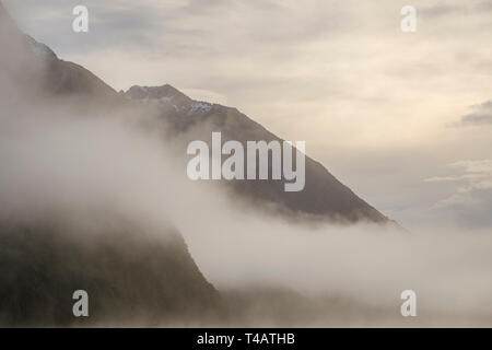 Neuseeland, Südinsel, Fiordland National Park. Clearing Nebel über native Wald und die Berge um den Gunn im Fjordland National Stockfoto