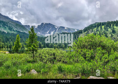 Eine aus sieben sauberste Berg Karakol Seen im Tal am Fuße des Bagatash Pass, Altai Gebirge, Russland. Nadelwälder Reflexionseigenschaften Stockfoto