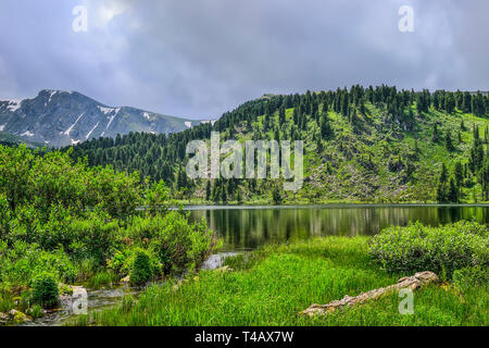 Eine aus sieben sauberste Berg Karakol Seen im Tal am Fuße des Bagatash Pass, Altai Gebirge, Russland. Nadelwälder Reflexionseigenschaften Stockfoto