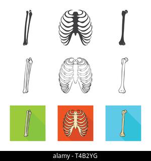 Femur, Rippe, Käfig, gebrochen, Bein, Röntgen, Fibel, Knie, Körper, Shin, Tibia, Wirbelsäule, Brustbein, Bruch, Ausrichtung, Brustbein, Kalzium, Schmerzen, Chirurgie, Medizin, Klinik, Biologie, Medizin, Knochen, Skelett, Anatomie, menschliche Organe, Set, Vector, Icon, Illustration, isoliert, Sammlung, Design, Element, Grafik, Zeichen, Vektor, Vektoren, Stock Vektor