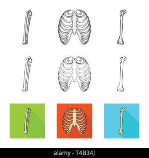 Femur, Rippe, Käfig, gebrochen, Bein, Röntgen, Fibel, Knie, Körper, Shin, Tibia, Wirbelsäule, Brustbein, Bruch, Ausrichtung, Brustbein, Kalzium, Schmerzen, Chirurgie, Medizin, Klinik, Biologie, Medizin, Knochen, Skelett, Anatomie, menschliche Organe, Set, Vector, Icon, Illustration, isoliert, Sammlung, Design, Element, Grafik, Zeichen, Vektor, Vektoren, Stock Vektor