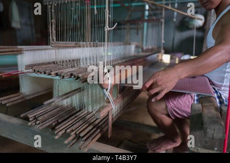 Seide Spinnen auf einer Insel in Kambodscha in der Nähe von Phnom Penh. Stockfoto