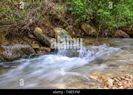 Fluss zwischen Steinen und Bäumen in grünem Laub. Landschaft Stockfoto