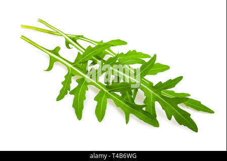 Rucola (Eruca sativa) Blätter auf weißen isoliert Stockfoto